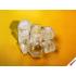 Borealis Champagne - White Lab Polyhedral 7-Die Set