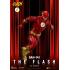DC Comics Action Figure The Flash 20 cm