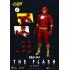 DC Comics Action Figure The Flash 20 cm