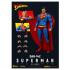 DC Comics Action Figure Superman 20 cm