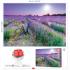 Educa Puzzle 1.000 τεμ. Bike in a Lavender Field