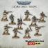 Astra Militarum - Cadian Shock Troops - Warhammer 40K