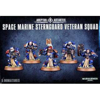 Space Marines - Sternguard Veteran Squad - Warhammer 40K