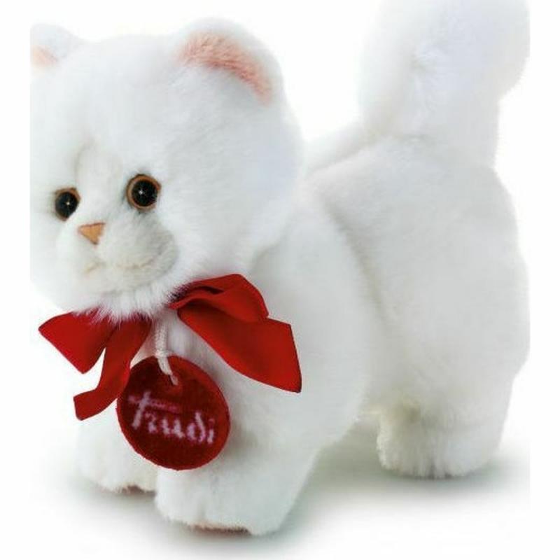 Trudi Trudini Περσική Γάτα