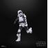 Star Wars Black Series Action Figure Scout Trooper May the 4th Be With You 15 cm