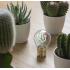 Legami Lightbulb Shaped Table Lamb Bulb Fiction - Cactus