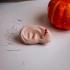 Legami Halloween Γόμα - Ear We Go Again - Ear