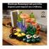 Lego Botanicals: 11505 Woodland Mushrooms