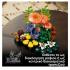 Lego Botanicals: 11505 Woodland Mushrooms