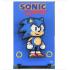 Sonic the Hedgehog (Classic) FiGGYZ Magnet Collectible Sonic 11 cm