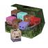 Squaroes Collectors Case 800 Dungeons & Dragons - Tomb of Annihilation