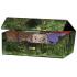 Squaroes Collectors Case 800 Dungeons & Dragons - Tomb of Annihilation