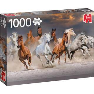Desert Horses - 1000 Pieces