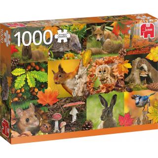 Autumn Animals - 1000 Pieces