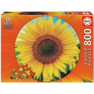 Educa Puzzle 800 τεμ. Sunflower