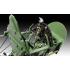 Revell: 1:32 Hawker Hurricane Mk IIb