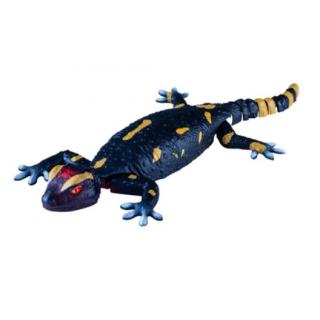 Revell Control: 24705 Robo Friends Salamander RC