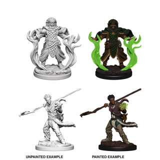 Dungeons & Dragons Nolzur's Marvelous Miniatures: Human Druid Male