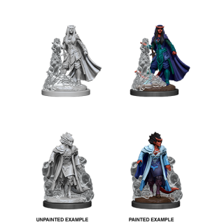 Dungeons & Dragons Nolzur's Marvelous Miniatures: Tiefling Sorcerer Female