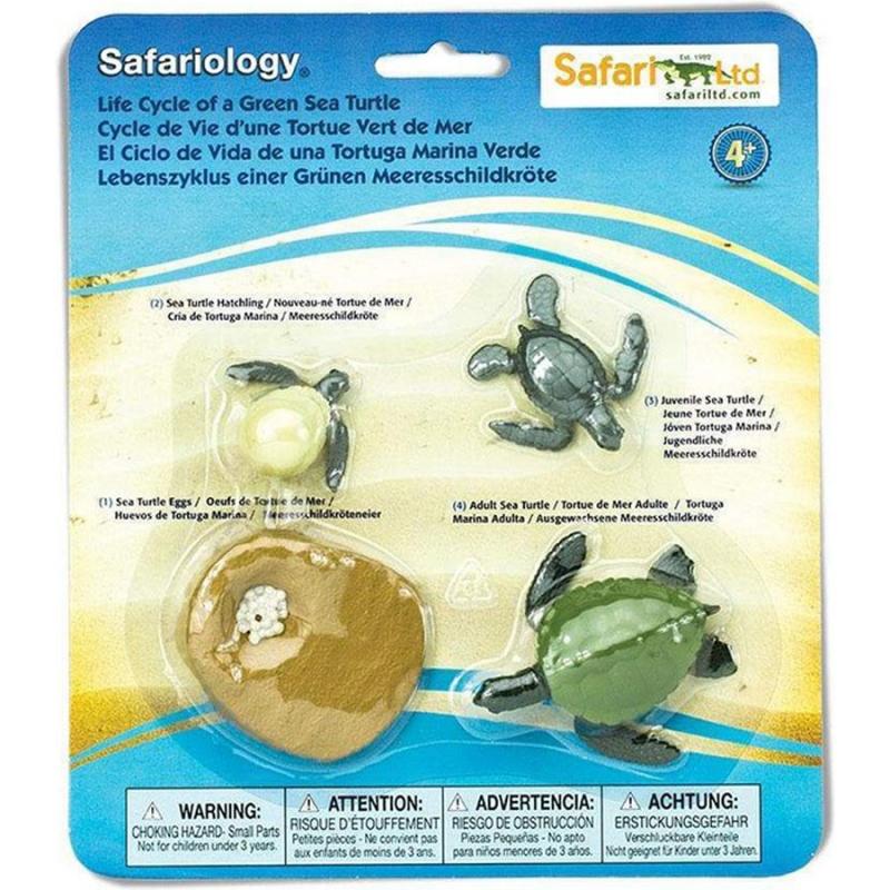 Μινιατούρες Safari - Life Cycle of a Green Sea Turtle - Κύκλος Ζωής της Πράσινης Θαλάσσιας Χελώνας