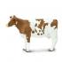 Μινιατούρες Safari - Ayrshire Cow - Αγελάδα Ayrshire