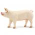 Μινιατούρες Safari - Large White Pig - Μεγάλο Λευκό Γουρούνι