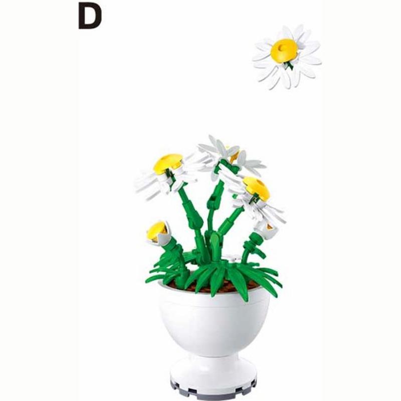 Sluban - Potted Plants - Φυτά σε Γλάστρες - Daisy