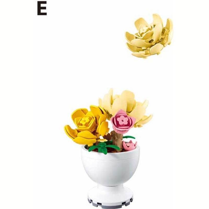 Sluban - Potted Plants - Φυτά σε Γλάστρες - Tree Peony