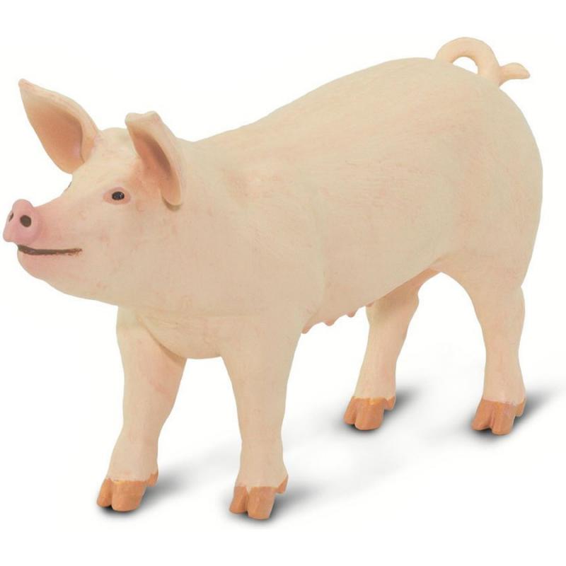Μινιατούρες Safari - Large White Pig - Μεγάλο Λευκό Γουρούνι
