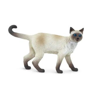 Μινιατούρες Safari - Siamese - Γάτα Σιάμ
