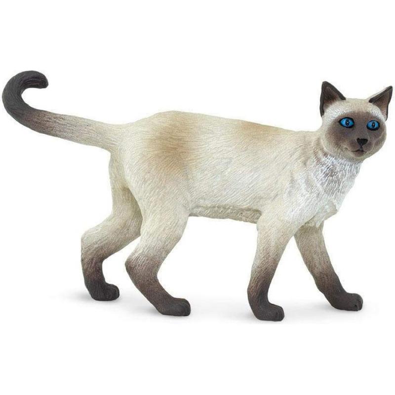 Μινιατούρες Safari - Siamese - Γάτα Σιάμ