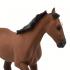 Μινιατούρες Safari - Thoroughbred - Αγγλικό Καθαρόαιμο Άλογο