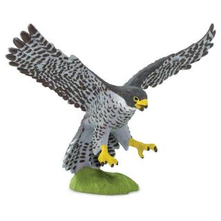 Μινιατούρες Safari - Peregrine Falcon - Πετρίτης