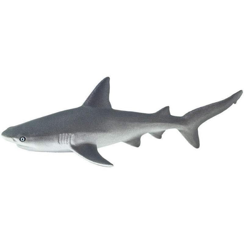 Μινιατούρες Safari - Gray Reef Shark - Γκρί Υφαλοκαρχαρίας