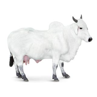 Μινιατούρες Safari - Ongole Cow - Αγελάδα Ongole