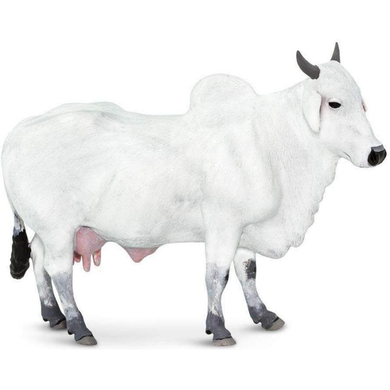 Μινιατούρες Safari - Ongole Cow - Αγελάδα Ongole