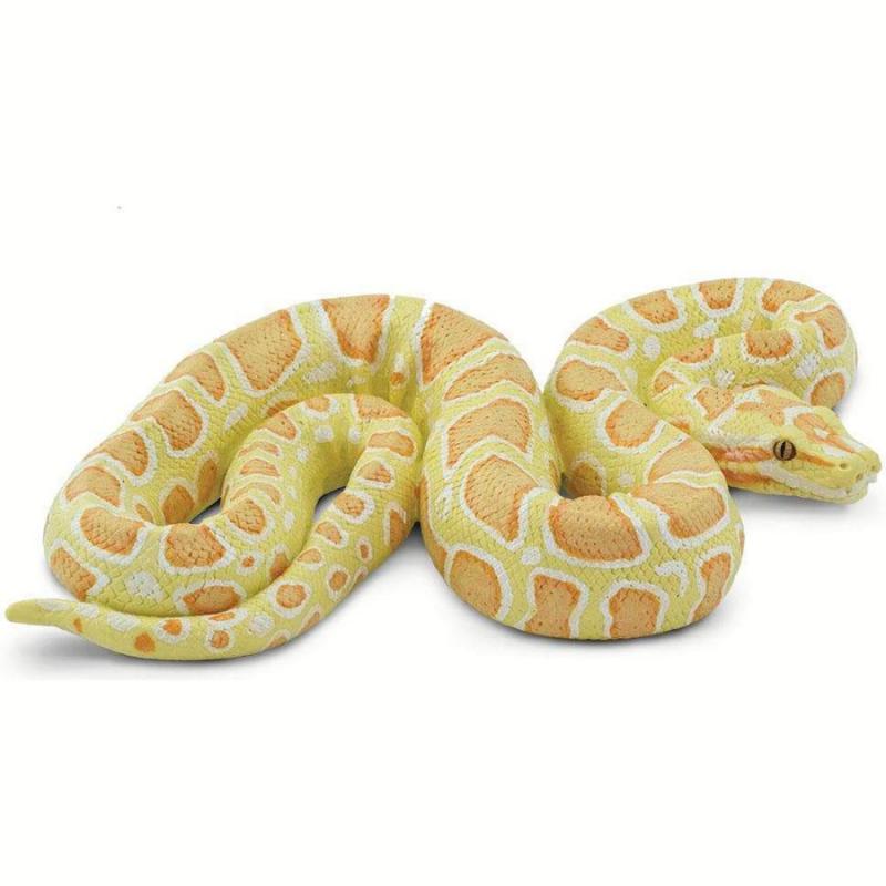 Μινιατούρες Safari - Albino Burmese Python - Πύθωνας Βιρμανίας