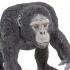 Μινιατούρες Safari - Chimpanzee - Χιμπαντζής