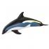 Μινιατούρες Safari - Atlantic White-Sided Dolphin - Δελφίνι Λευκής Όψης Ατλαντικού
