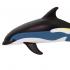 Μινιατούρες Safari - Atlantic White-Sided Dolphin - Δελφίνι Λευκής Όψης Ατλαντικ