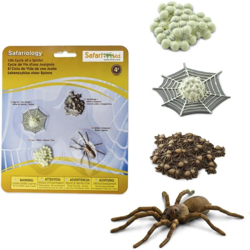 Μινιατούρες Safari - Life Cycle of a Spider - Κύκλος Ζωής μιάς Αράχνης