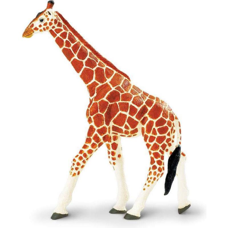 Μινιατούρες Safari - Reticulated Giraffe - Καμηλοπάρδαλη