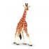 Μινιατούρες Safari - Reticulated Giraffe - Καμηλοπάρδαλη