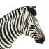 Μινιατούρες Safari - Zebra - Ζέβρα