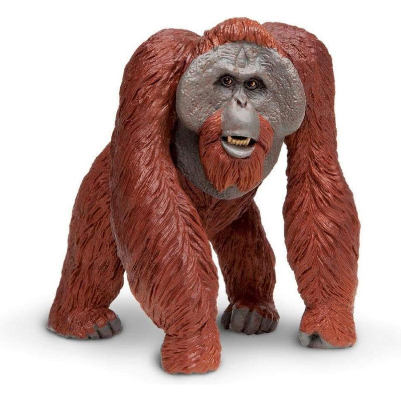 Μινιατούρες Safari - Bornean Orangutan - Ουρακοτάγκος του Βόρνεο