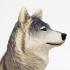 Μινιατούρες Safari - Gray Wolf - Γκρί Λύκος