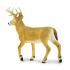 Μινιατούρες Safari - Whitetail Deer Buck - Ελάφι της Βιρτζίνια