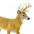 Μινιατούρες Safari - Whitetail Deer Buck - Ελάφι της Βιρτζίνια