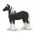 Μινιατούρες Safari - Gypsy Vanner Stallion - Επιβήτορας Gypsy Vanner