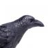 Μινιατούρες Safari - Raven - Κοράκι